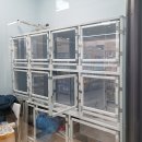 서울애견마트 이미지