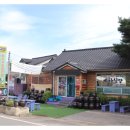 예산 예당호휴게소 맛집 예가식당 칼칼하고 부드러운 메기조림 후기
