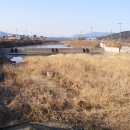 계전1리 이미지