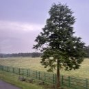 남방1통 이미지