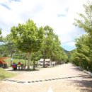 상의자동차야영장 이미지