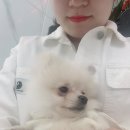 맨앤독 애견카페 이미지