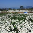 화산농원 이미지