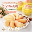 달콤청년 | 햇사레 복숭아 단황도 청년 복숭아 대과 후기