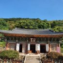 어슬렁어슬렁 봉은사, 추사의 마지막 글씨를 보러~~