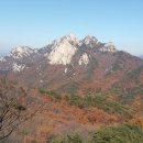 효신 행정사사무소 네이버블로그