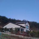 다다오 | 울주 자연 속에서 힐링했던 독채 펜션 다다오 후기