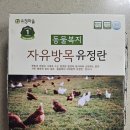 유정약품 | 동물복지 자유방목 유정란.유정마을/내돈내산