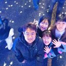 가족과 함께하는 음악 줄넘기(토) | 경주 벚꽃축제 추천｜ 2026 경주 대릉원돌담길 축제 가족 리얼 후기