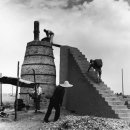 하만농장 이미지