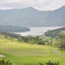 노벨CC골프연습장 이미지