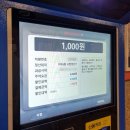 궁동로 | 수원&amp;대전 여행 2일차 내돈내산 후기 🍝🥐