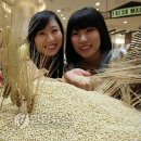 수제 맥주 특화사업장 이미지