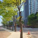 파주우체국 이미지