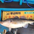 비에이치대구 네이버블로그