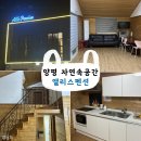 내장풍경펜션 | [양평] 자연속 독채 펜션 "앨리스펜션" 방문후기🌿
