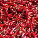 전북고추 이미지