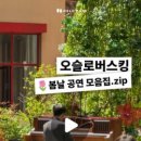피아나레음악학원