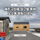 당근스테이 | 제주 구좌 당근밭 독채 숙소 오소록 행원 스테이 (내돈내산)