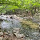 서산 솔개산악회 7월 가평 유명산(100대명산) 이미지