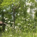 죽백6로 이미지