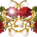 산호동011 이미지