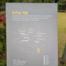 바람꽃작은도서관 | 조용히 독서하기 좋은곳 광교 &lt;푸른숲도서관 책뜰&gt; 소개, 예약방법, 주차 등 상세후기
