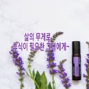 숨아로마