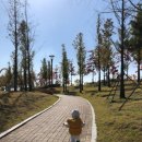 써니네(집) 이미지