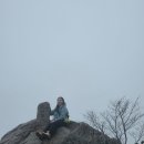 은선 | 등산일기⛰️ 계룡산 등산후기 ☔️ ( 동학사-은선폭포-관음봉-삼불봉)