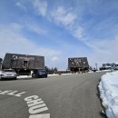 대관령 사파리 목장 이미지