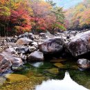 피아골 단풍공원 이미지