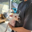 몽스케치 이미지