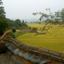 가랑잎새 이미지