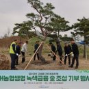 생명나무숲 이미지