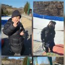 가흥태권도장 이미지