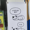 버터랑 전주 여행 2. 콜터, 현대옥, 백일몽, 평화와평화, 착한사진관, 길거리야, 풍년제과, 탐미주의...