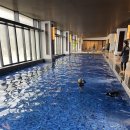 토마토 수영장 | 오키나와 류큐 호텔 조식 수영장 후기