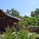 영주동반구정 이미지