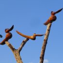 진또배기 이미지