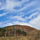 만수목장 | 강원도 평창 양떼목장 애견 동반 여행 입장료와 주차정보 알파카 구경까지