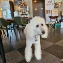 양동목장 이미지