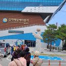 삼척해상케이블카 용화역 이미지