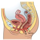 산전·산후 필라테스, 임산부 필라테스의 중요성 모던 서초지부/방배랩점