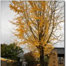 남천경로당 이미지