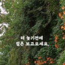 희망대공원 물놀이장-1 이미지