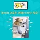 BG독케어센터 이미지