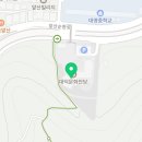 그림이 오감을 만났을때- 감각주의 르누아르 이미지