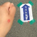 사천초등학교 | 강원도 강릉,삼척 여행 1탄 _ 강릉편 (1)