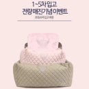 엔젤퍼피 이미지